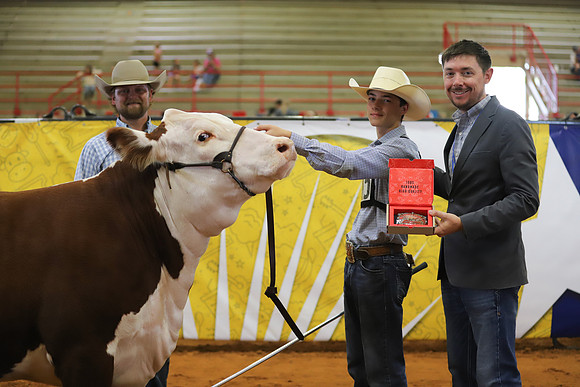 EastTexasStateFair-BritishHeiferShowmanship-39