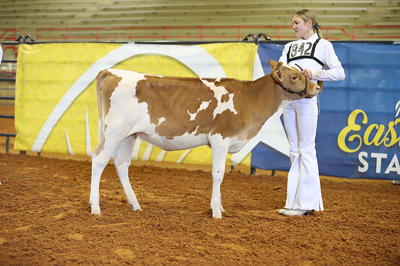 East Texas State Fair - Dairy Show-399