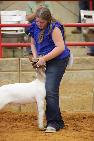 East Texas State Fair - Goat Showmanship-023