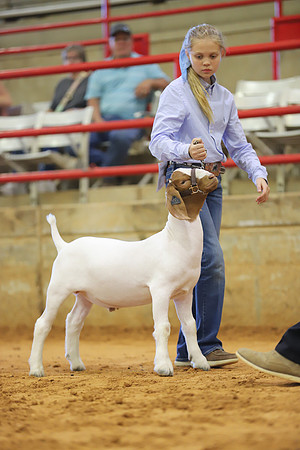 East Texas State Fair - Goat Show-028