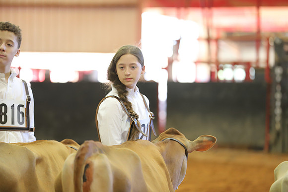 East Texas State Fair - Dairy Show-149