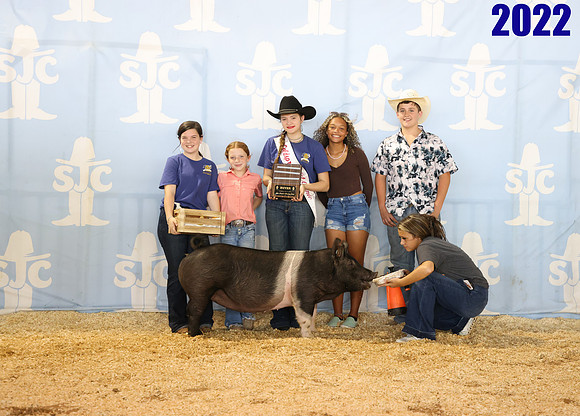 lot 144