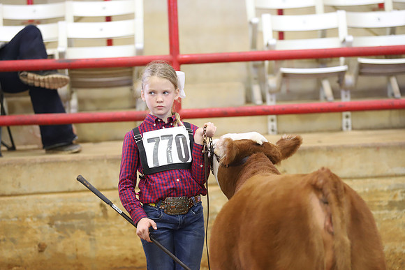 EastTexasStateFair-BritishHeiferShowmanship-76