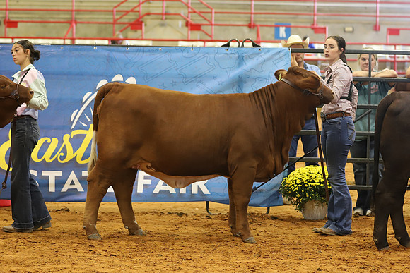 EastTexasStateFair-JBBAHeiferShowmanship-05