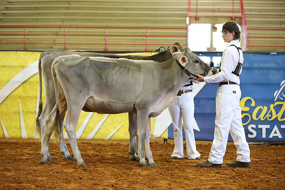 East Texas State Fair - Dairy Show-372