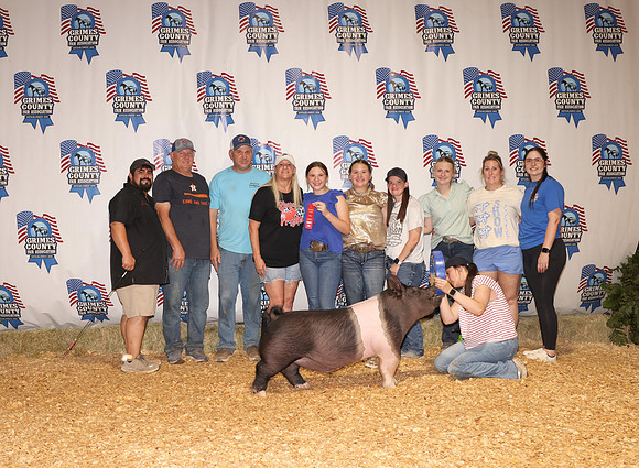 Pig Backdrop 9
