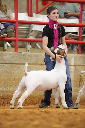 East Texas State Fair - Goat Showmanship-004