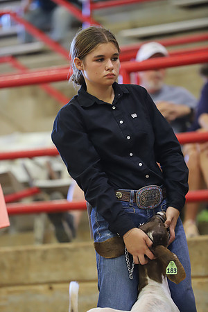 East Texas State Fair - Goat Show-081