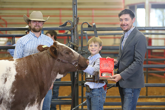 EastTexasStateFair-BritishHeiferShowmanship-51