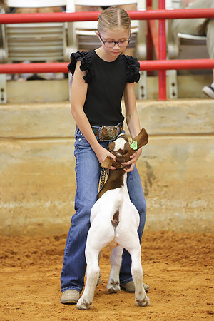 East Texas State Fair - Goat Showmanship-038