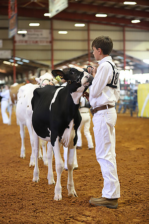 East Texas State Fair - Dairy Show-294