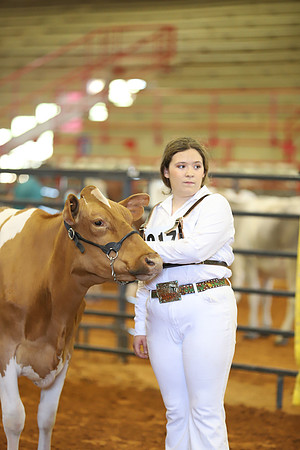 East Texas State Fair - Dairy Show-406