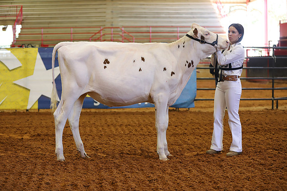 East Texas State Fair - Dairy Show-305