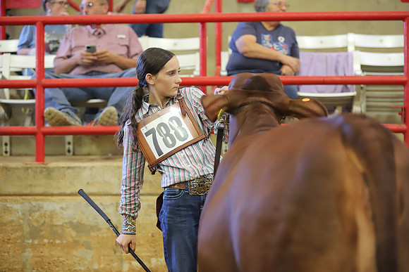 EastTexasStateFair-JBBAHeiferShowmanship-40