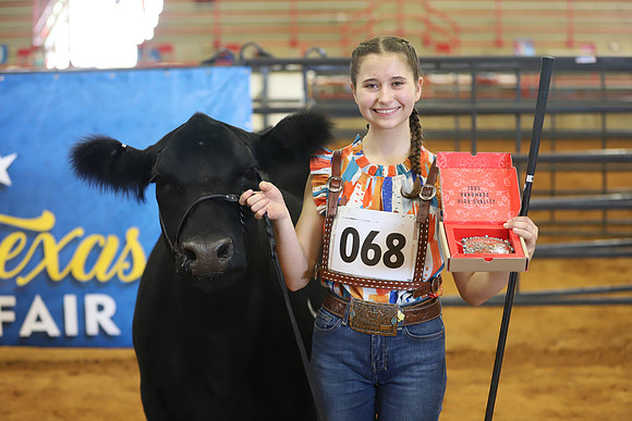 EastTexasStateFair-BritishHeiferShowmanship-01