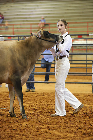 East Texas State Fair - Dairy Show-114
