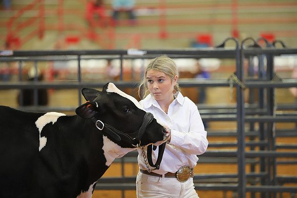 East Texas State Fair - Dairy Show-027