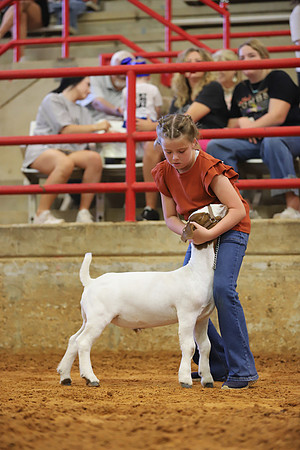 East Texas State Fair - Goat Showmanship-067