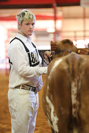East Texas State Fair - Dairy Show-259