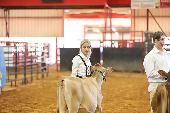 East Texas State Fair - Dairy Show-178