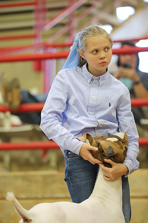 East Texas State Fair - Goat Show-030