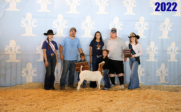 Lot 31