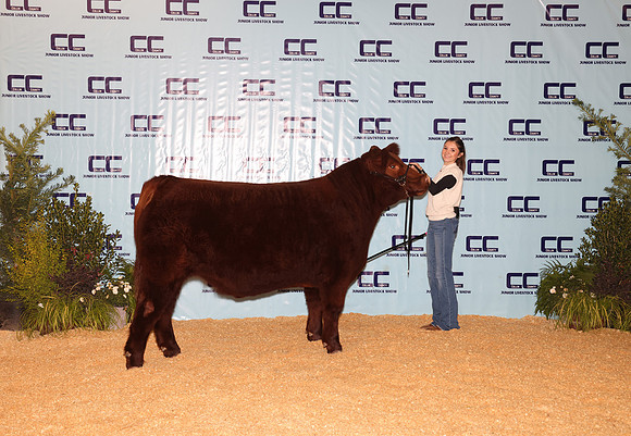 Cattle Backdrop 21