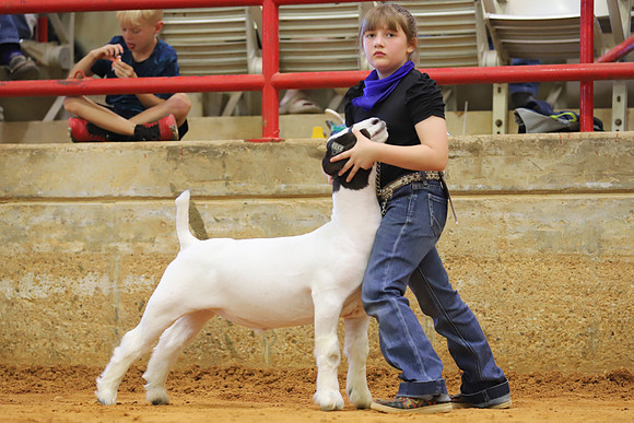 East Texas State Fair - Goat Showmanship-009