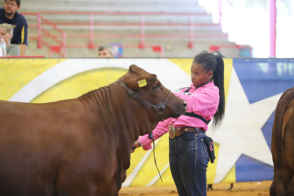 EastTexasStateFair-JBBAHeiferShowmanship-20