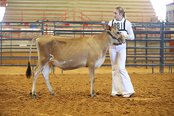 East Texas State Fair - Dairy Show-103