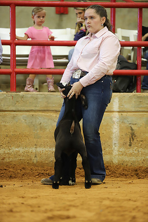 East Texas State Fair - Goat Show-055