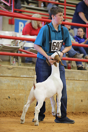 East Texas State Fair - Goat Show-066