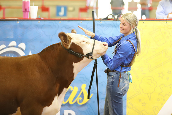 East Texas State Fair - Steer Show-093