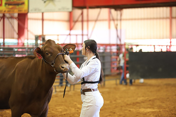 East Texas State Fair - Dairy Show-232