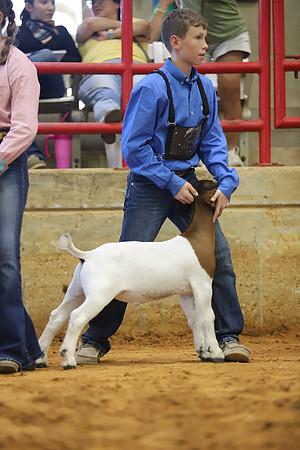 East Texas State Fair - Goat Show-140