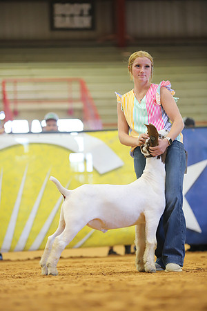 East Texas State Fair - Goat Show-011