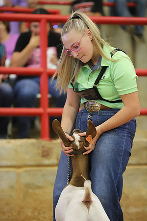 East Texas State Fair - Goat Show-122
