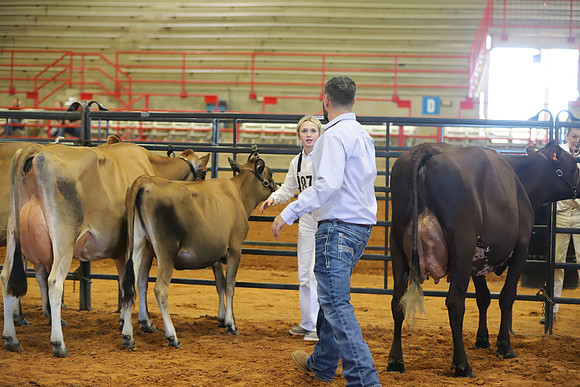 East Texas State Fair - Dairy Show-062