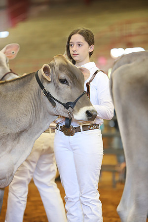East Texas State Fair - Dairy Show-350