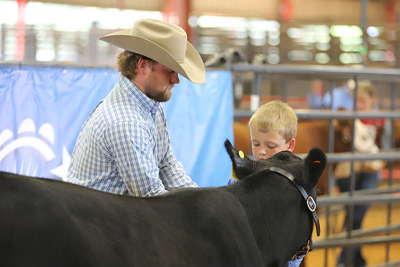 EastTexasStateFair-BritishHeiferShowmanship-55