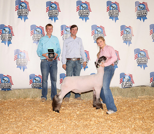 Res Champ Lamb 2