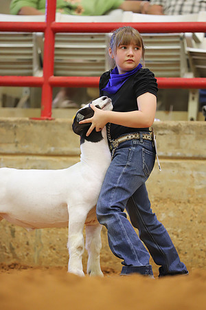 East Texas State Fair - Goat Showmanship-008