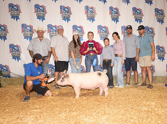 Pig Backdrop 3