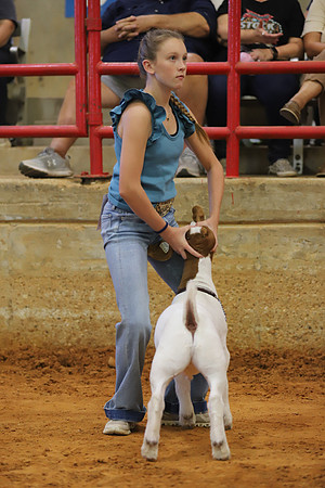 East Texas State Fair - Goat Showmanship-034