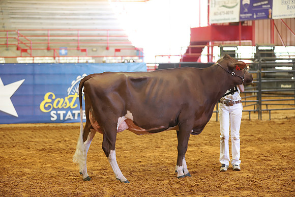East Texas State Fair - Dairy Show-190