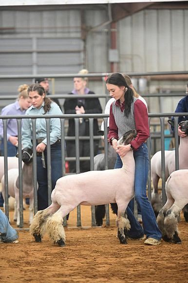 AMC_7583