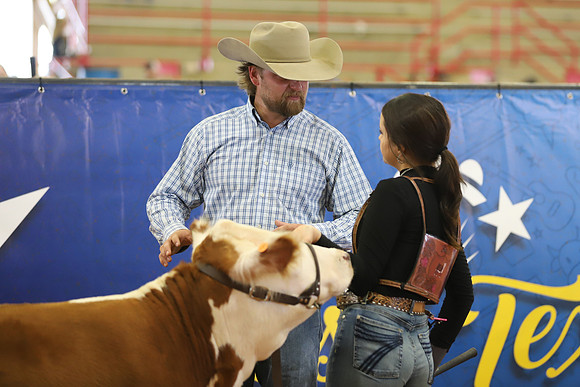 EastTexasStateFair-BritishHeiferShowmanship-43