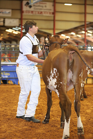 East Texas State Fair - Dairy Show-265