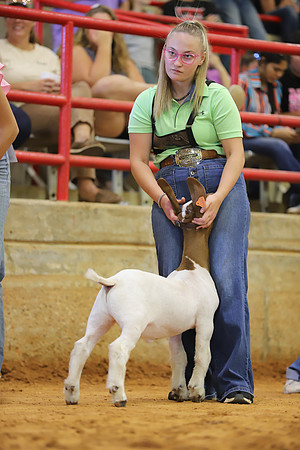 East Texas State Fair - Goat Show-113