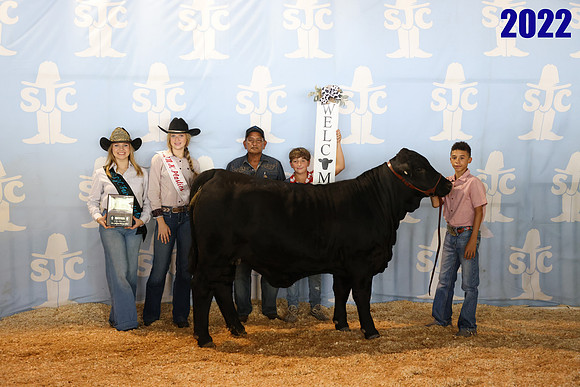 lot 76